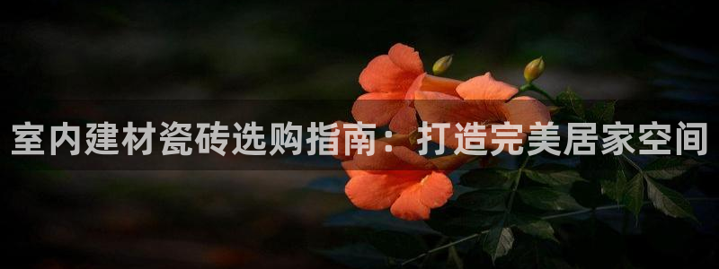 杏鑫平台代理怎么样可靠吗