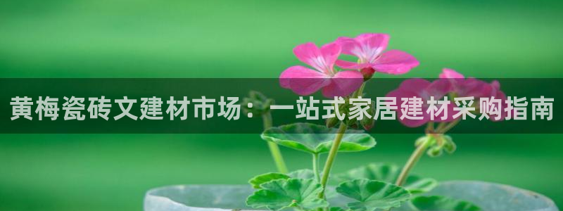 杏鑫平台登录地址