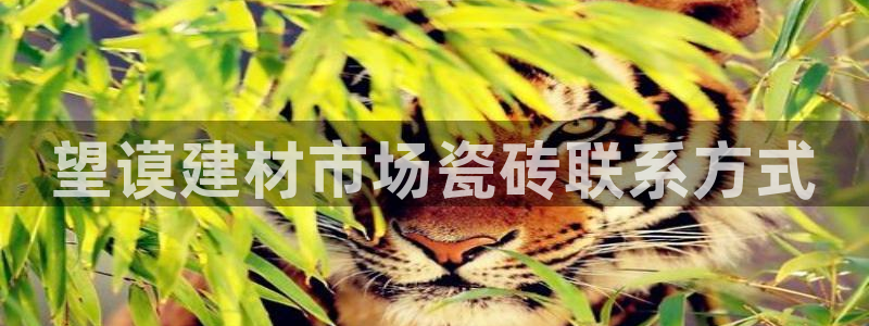 杏鑫平台注册网址是多少