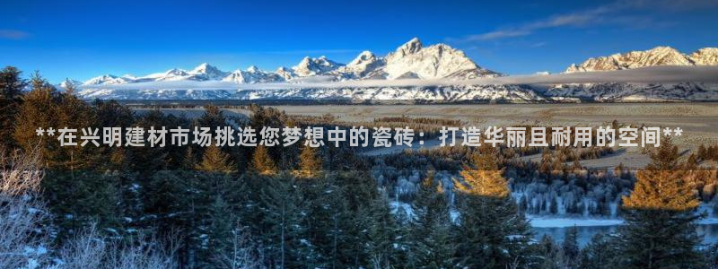 杏鑫有亏损返点吗