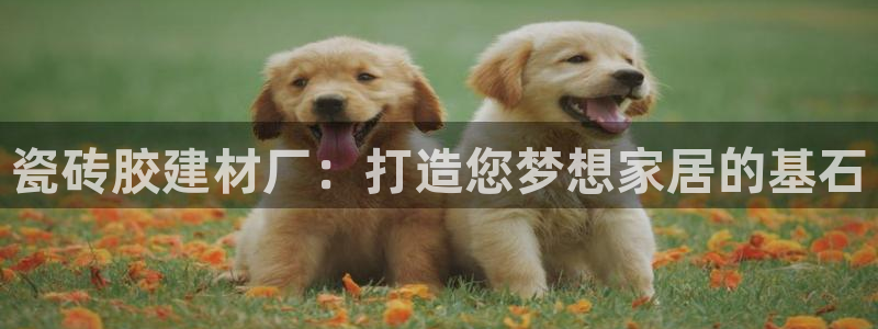 杏鑫代理注册平台