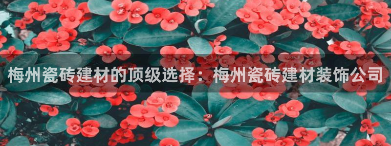 杏鑫平台代理怎么做赚钱
