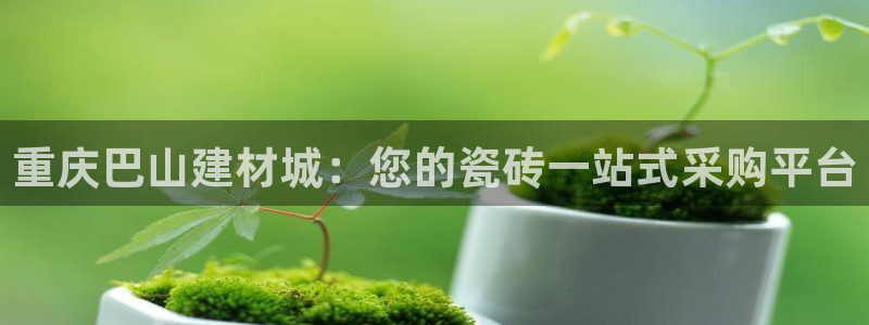 杏鑫娱乐平台登录注册网站