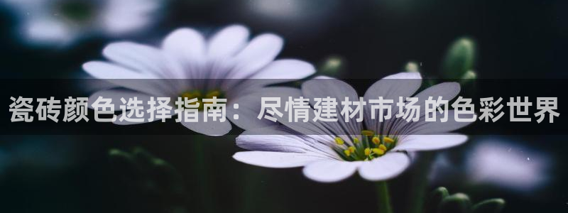 杏鑫平台野马联盟