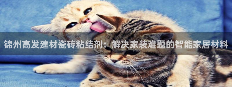 杏鑫娱乐官网首页