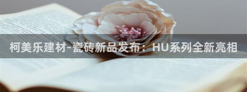 杏鑫平台测速怎么样