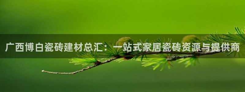 杏鑫主管
