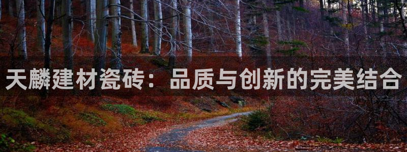 杏鑫平台平台