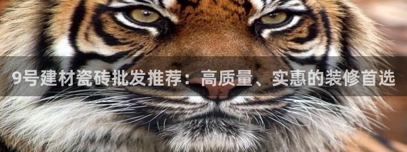杏鑫平台怎么样黑钱吗是真的吗还是假的