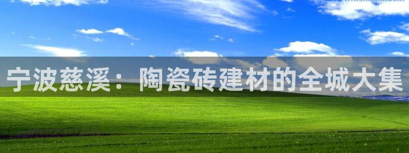 杏鑫平台代理注册