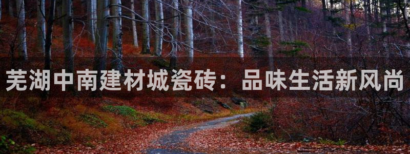 杏鑫官网注册账号怎么注册