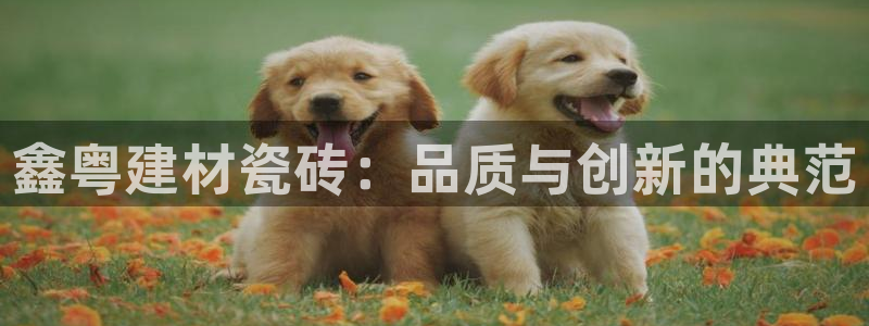杏鑫娱乐靠谱吗