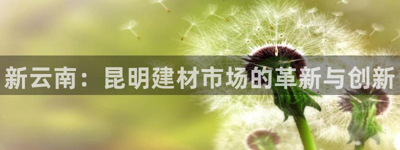 杏鑫娱乐官网首页