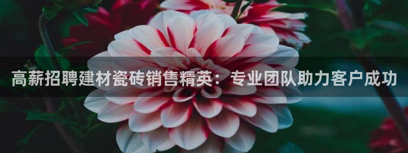杏鑫平台广7O777
