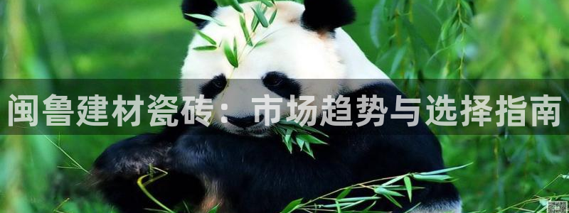 杏鑫平台下载安装