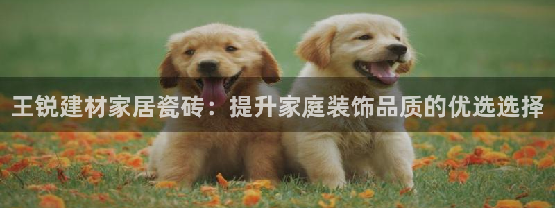 杏鑫平台念7O777