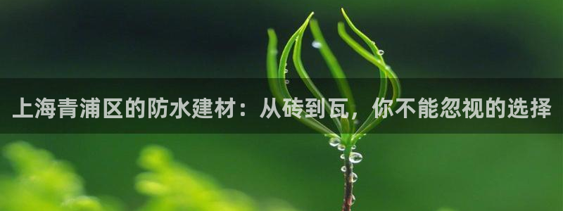 杏鑫娱乐平台测速怎么样