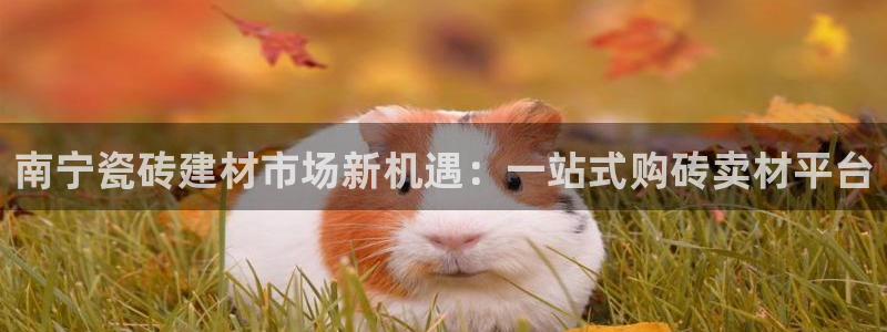 杏鑫娱乐负责人