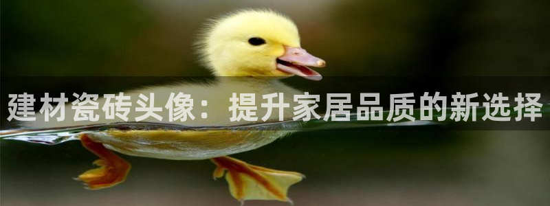 杏鑫娱乐官方网站客户端下载