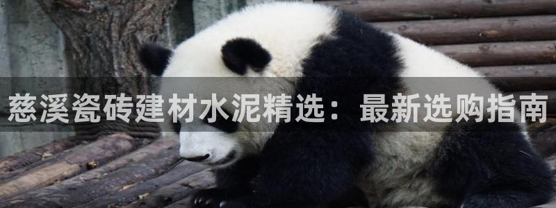 杏鑫平台代理注册登录不了怎么办呀苹果