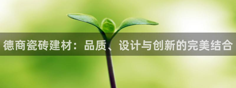 杏鑫平台代理怎么做的