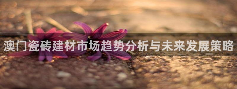 杏鑫注册登录网