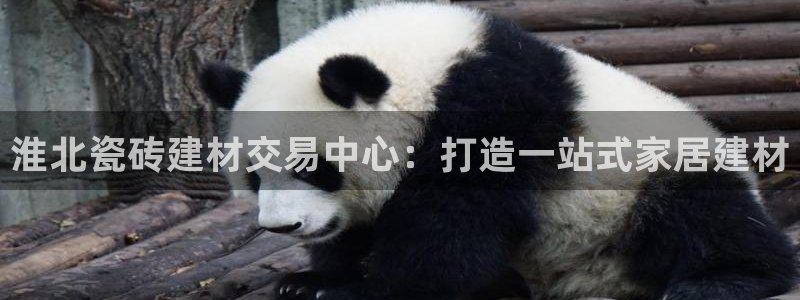 杏鑫官网注册账号怎么注册的