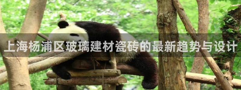 杏鑫平台注册网址是多少