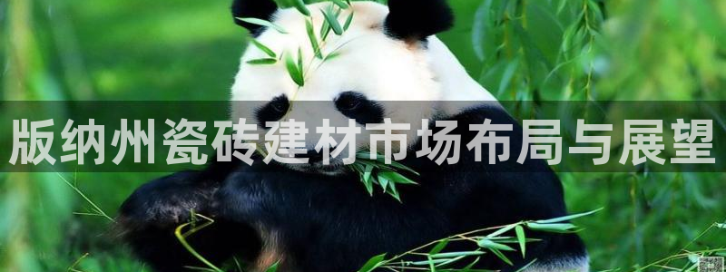 杏鑫平台注册入口在哪里找