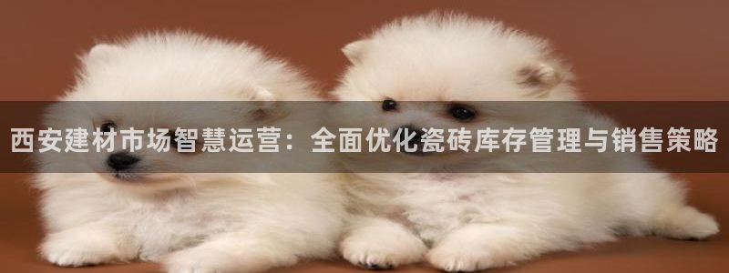 杏鑫平台代理注册多少钱一个