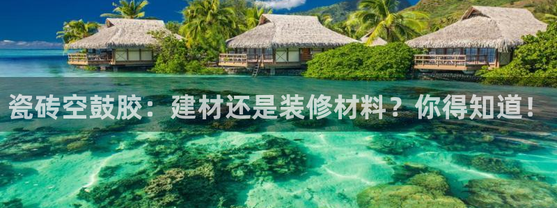 杏鑫代理注册平台