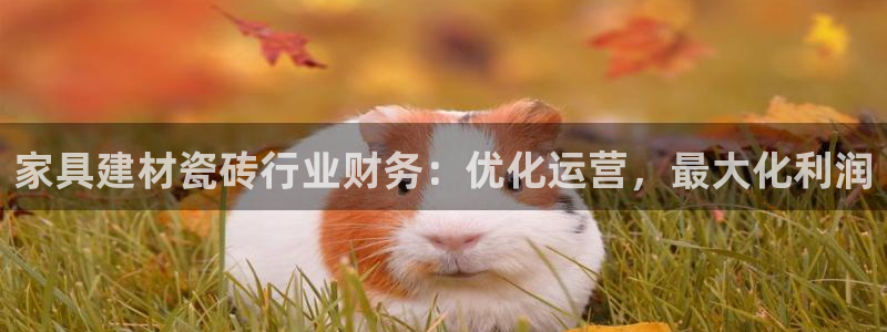 杏鑫平台代理注册多少钱一个