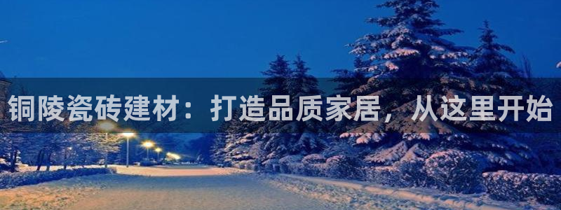 杏鑫平台代理怎么做