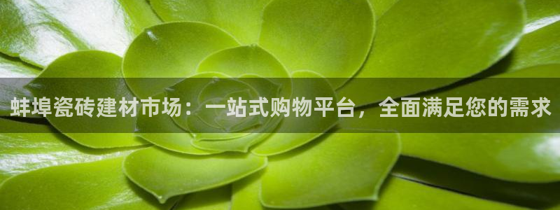 杏鑫平台怎么样黑钱吗安全吗是真的吗