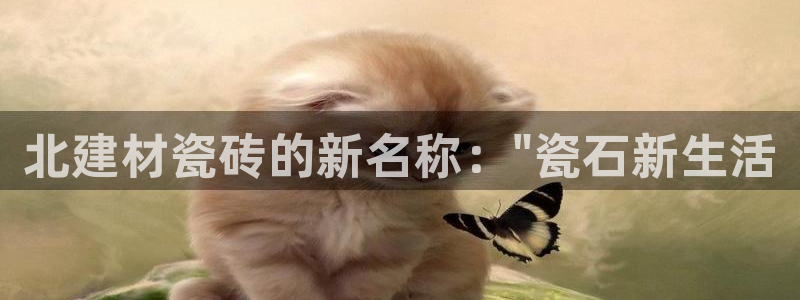 杏鑫注册平台官方网站是什么