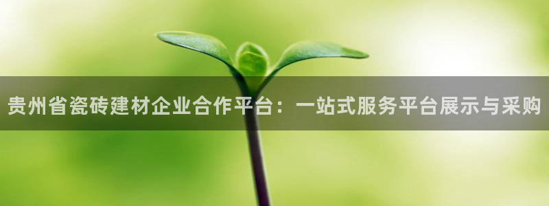 杏鑫平台直属哪个公司