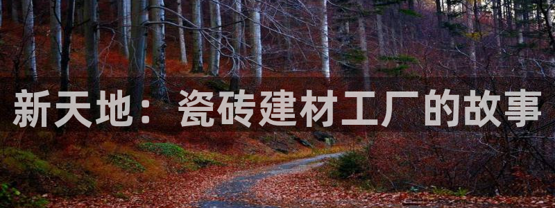 杏鑫平台招商电话号码